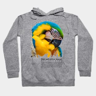 Blue and yellow macaw tropical bird black text Hoodie